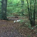 Rolighedsvej 14a ビルケロッド