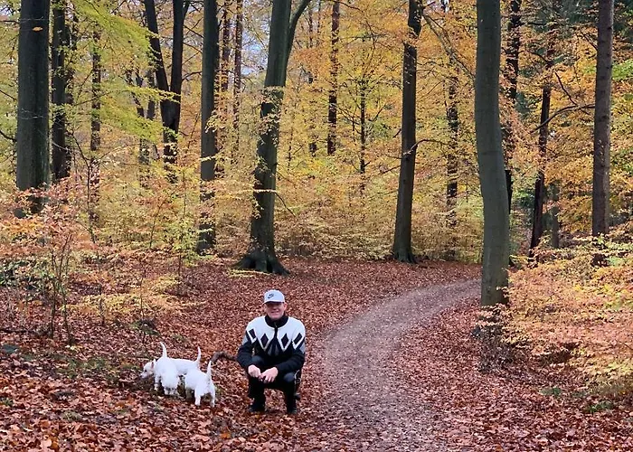 Panzió Rolighedsvej 14a 3*