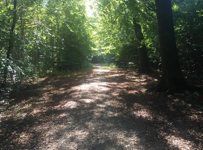 Rolighedsvej 14a