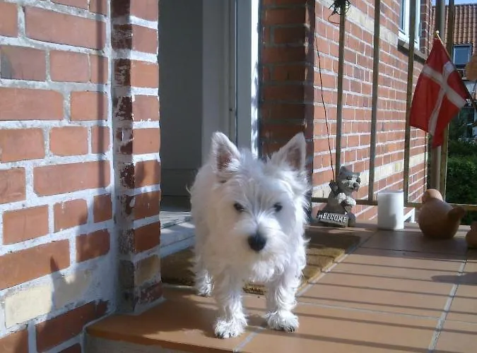 Rolighedsvej 14a Panzió 3*